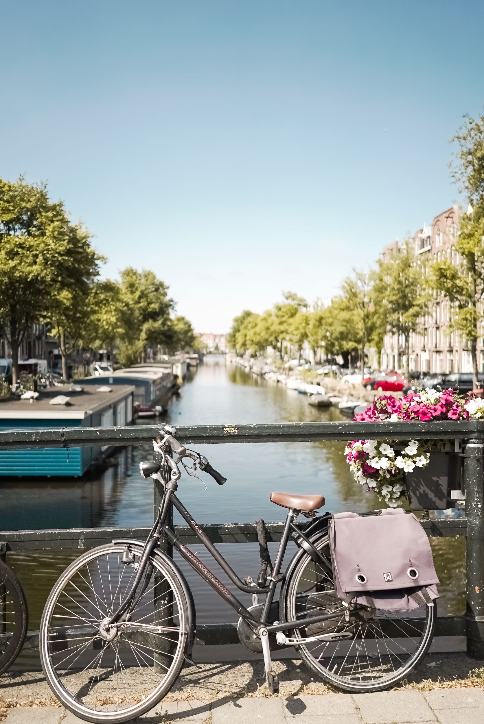Canals and bikes - things to do in Amsterdam