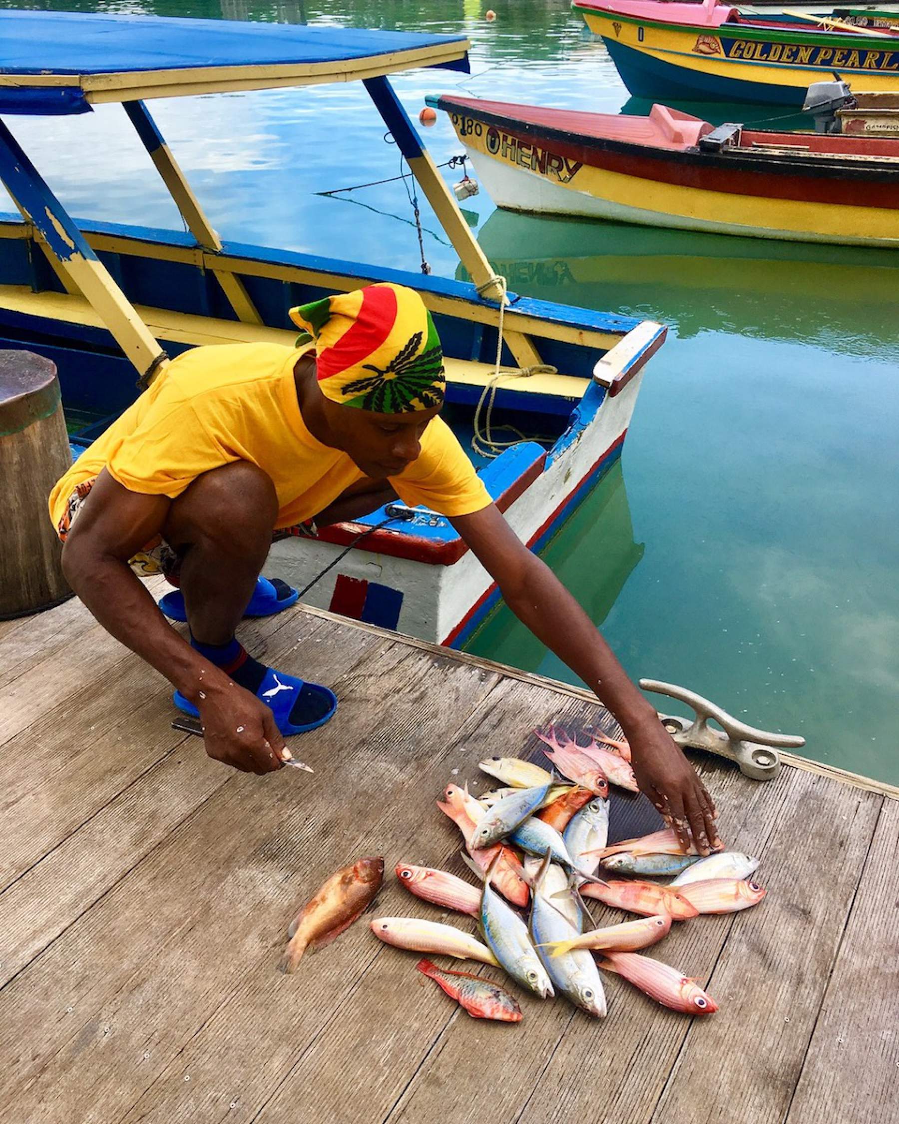 Sanctuaire de poissons à Oracabessa, Jamaïque