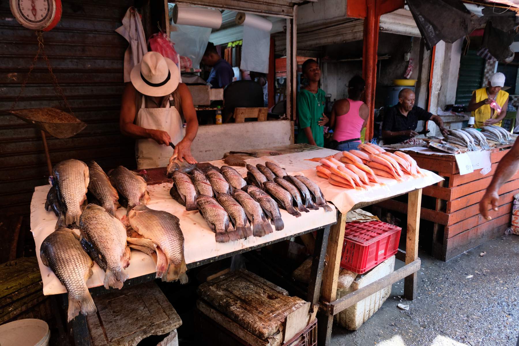Fish stand at the Mercado Bazurto in Getsemaní, Cartagena, Colombia