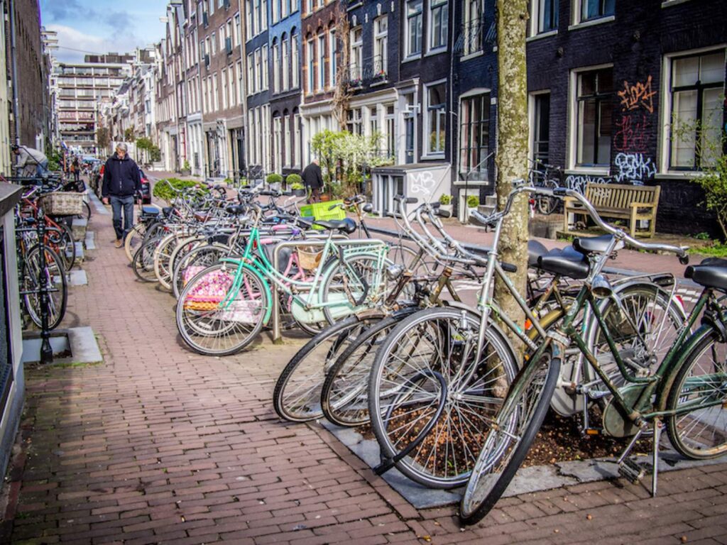 biking trips in amsterdam
