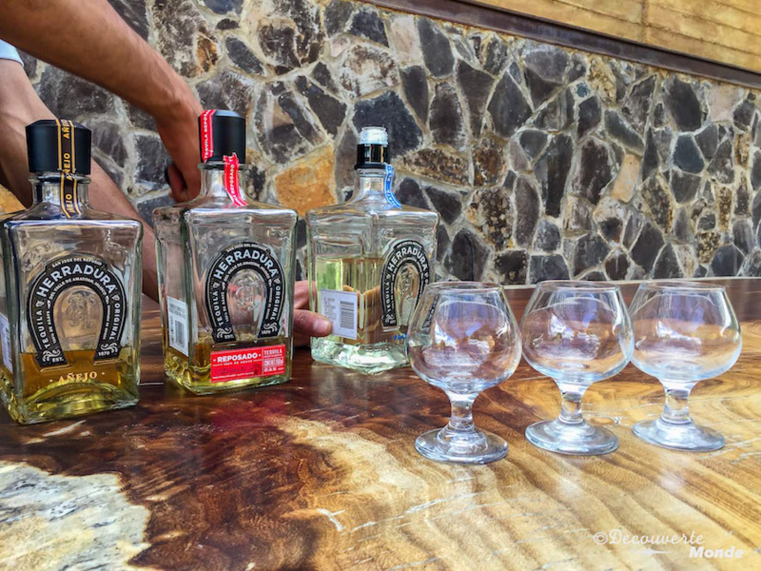 Dégustation de la tequila Herradura au Mexique