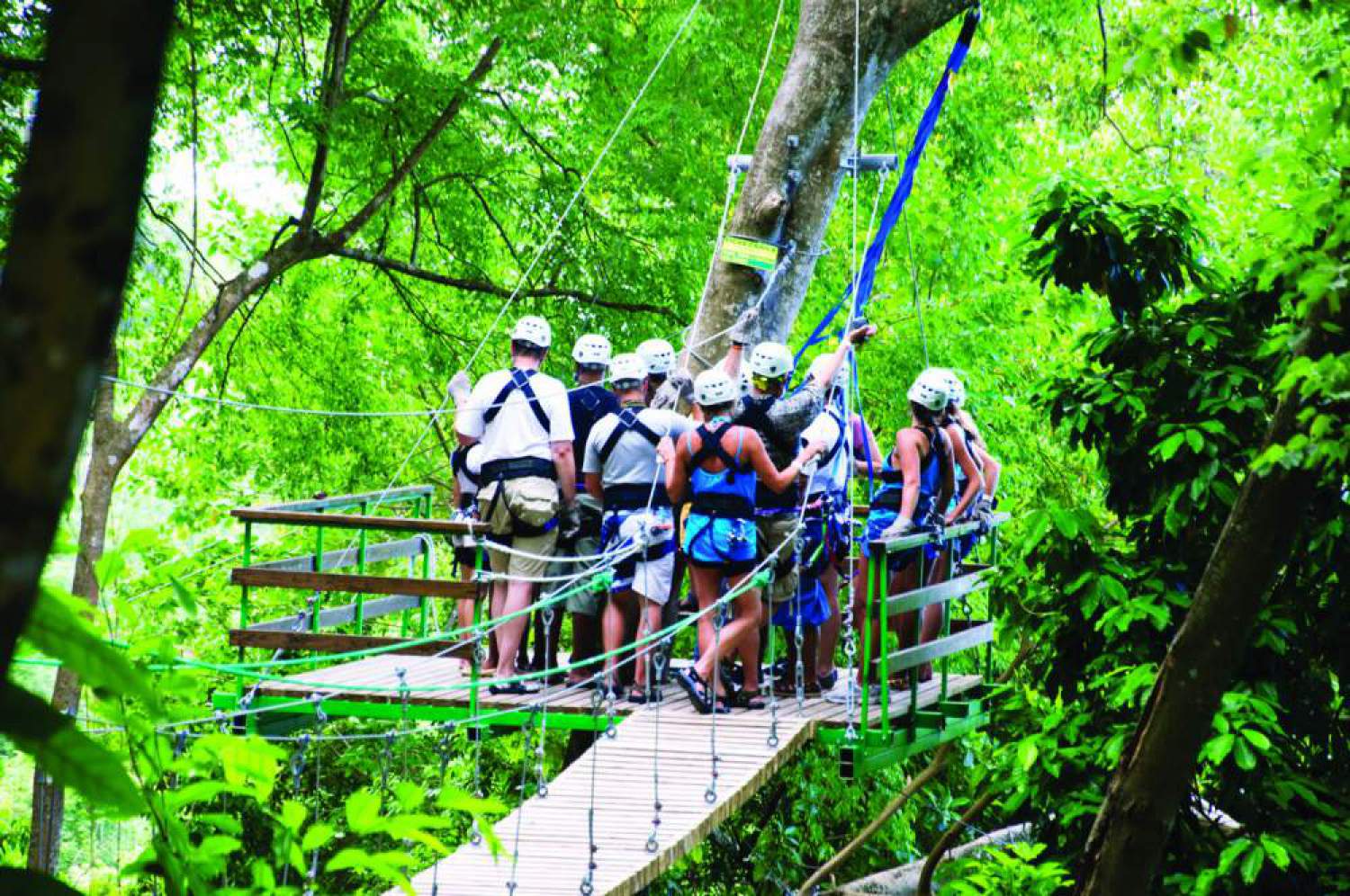 Going ziplining in the forests on Jamaica
