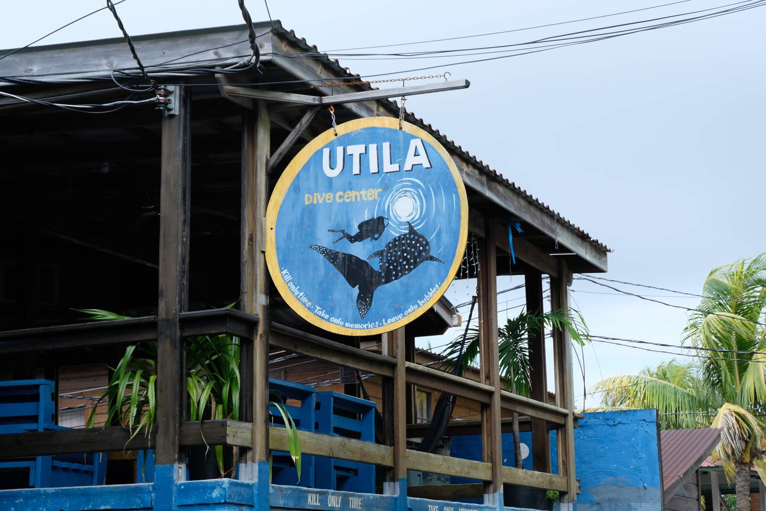 Utila Dive Center à Utila, Islas de la Bahía, Honduras