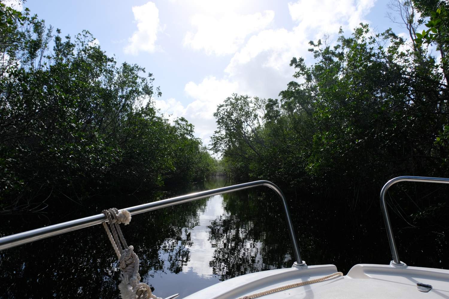 Boat tour on the mangrove channel, Laguna la Redonda, Cuba