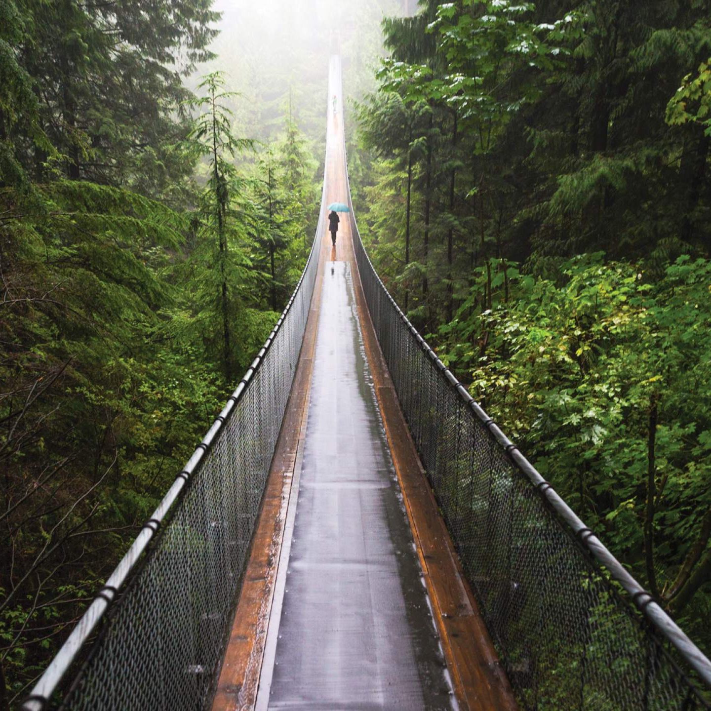 Capilano's suspension bridge in Vancouver, Canada