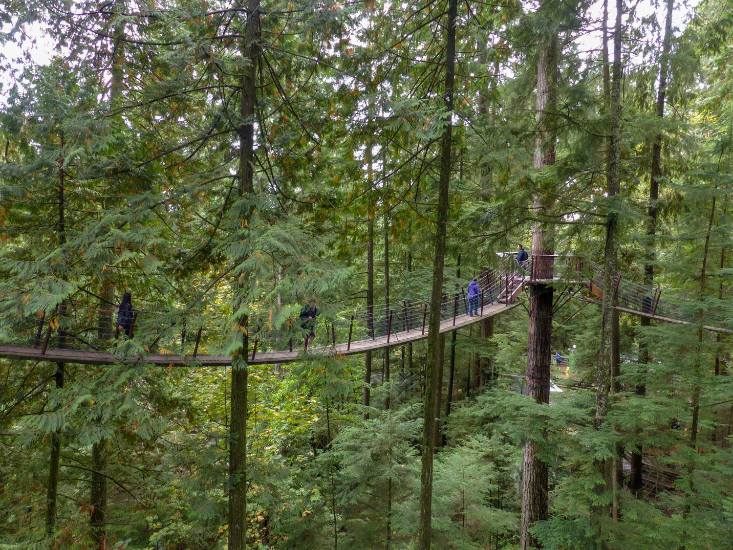 Capilano Treetop Adventure - Vancouver un autumn