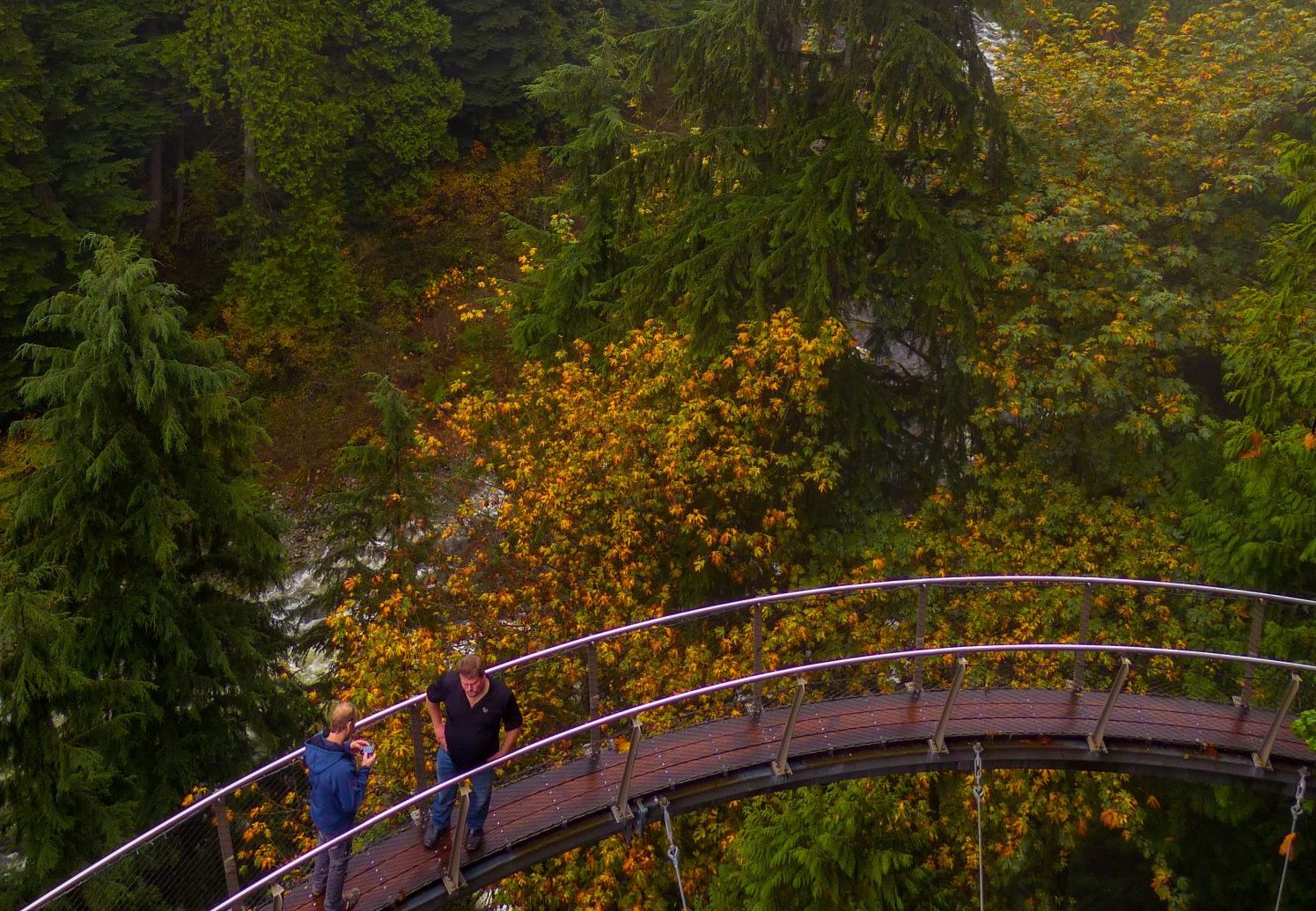 Capilano Cliffwalk - Vancouver un autumn