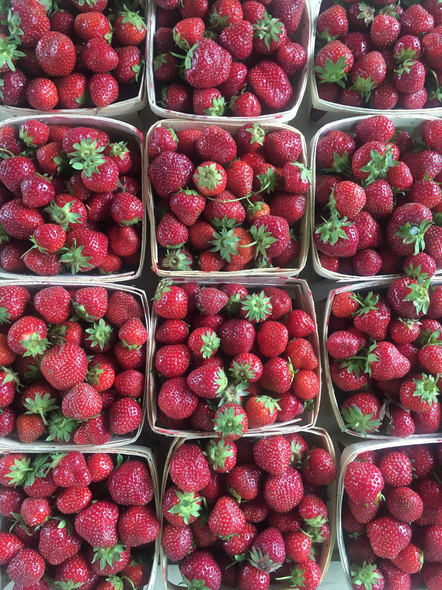 Strawberries of Québec's Île d'Orléans