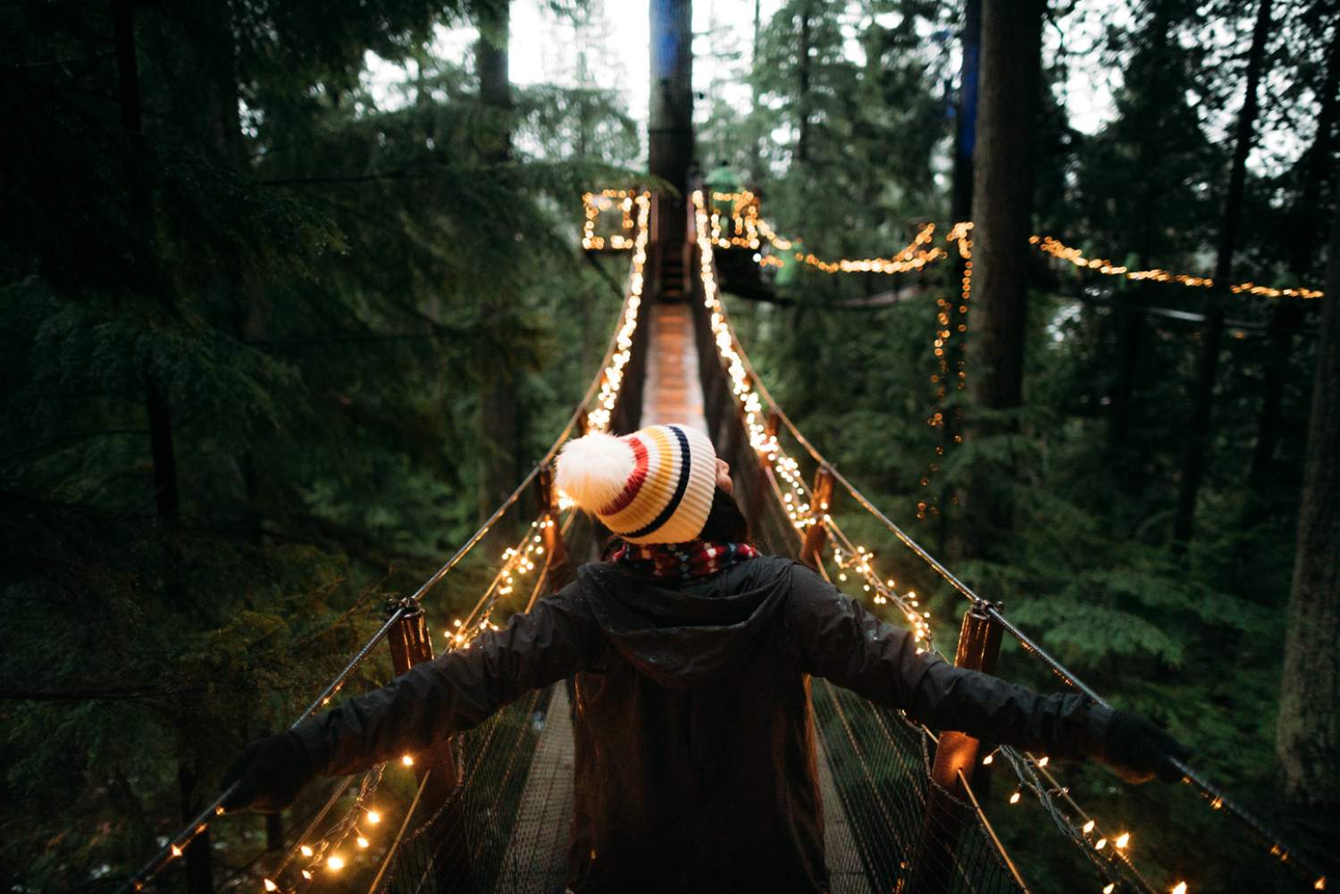 Capilano suspension bridge park, Vancouver