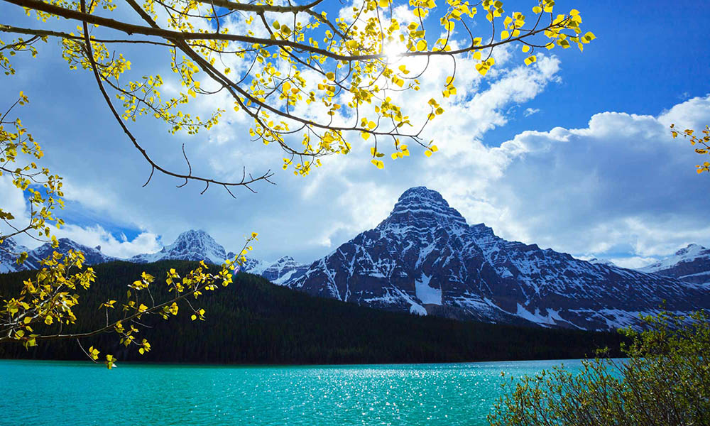 Spring Deals within Canada | Air Transat